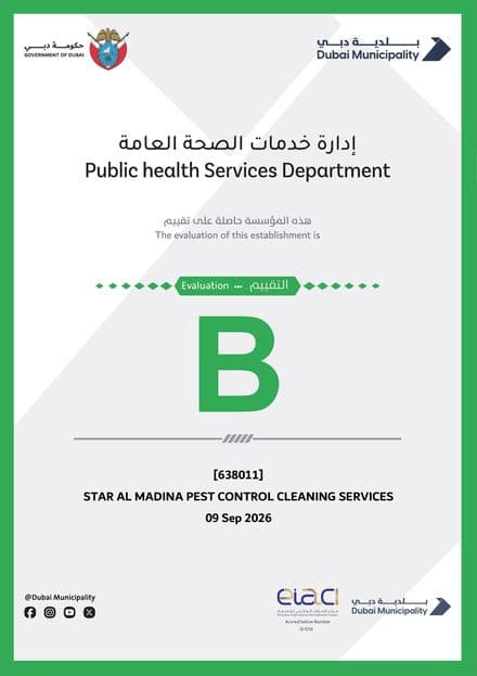 Dubai Municipality Public Health Services Department certificate showing a grade B evaluation for licence 638011