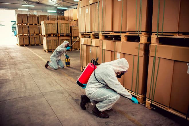 Technician carrying out a pest inspection in a commercial kitchen